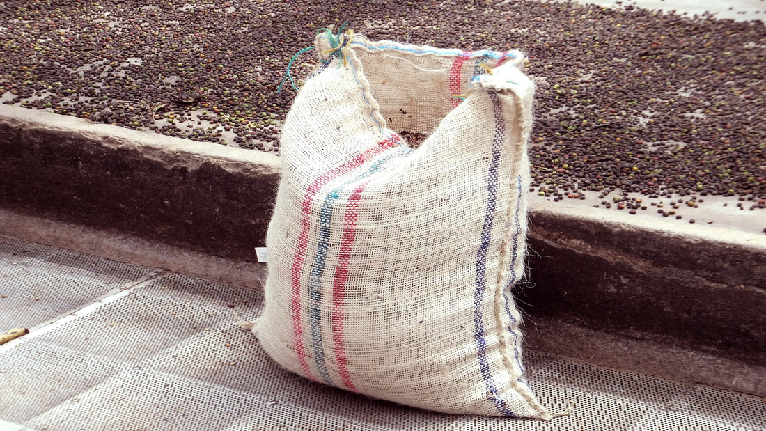 L'importation du café vert