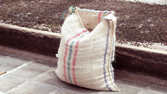 L'importation du café vert
