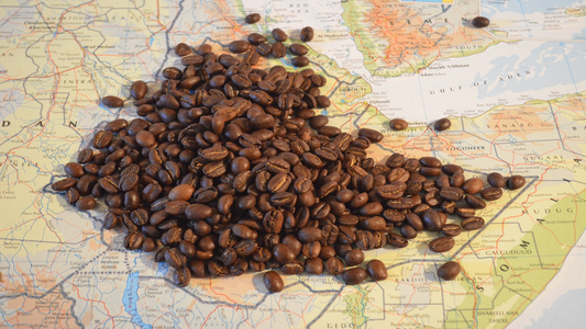 L'histoire du café