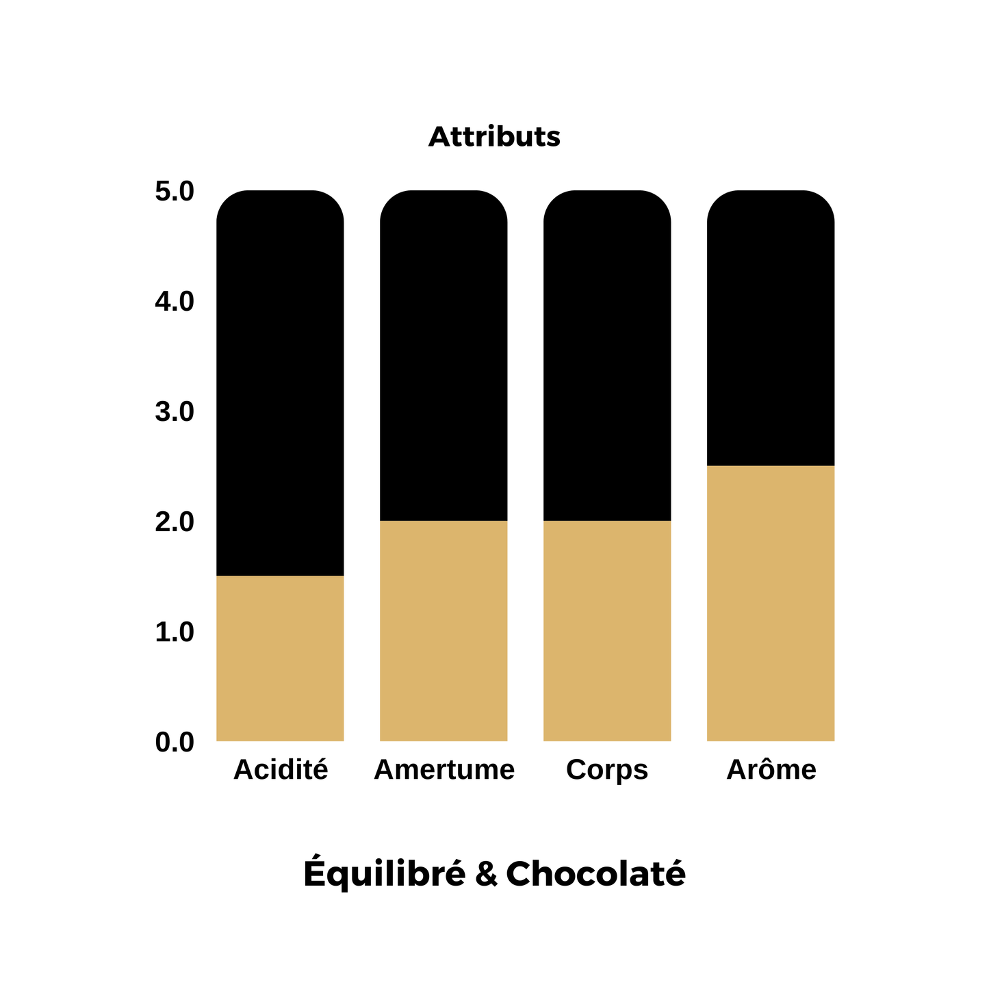 ⭐️ Brésil | Bruzzi 🇧🇷