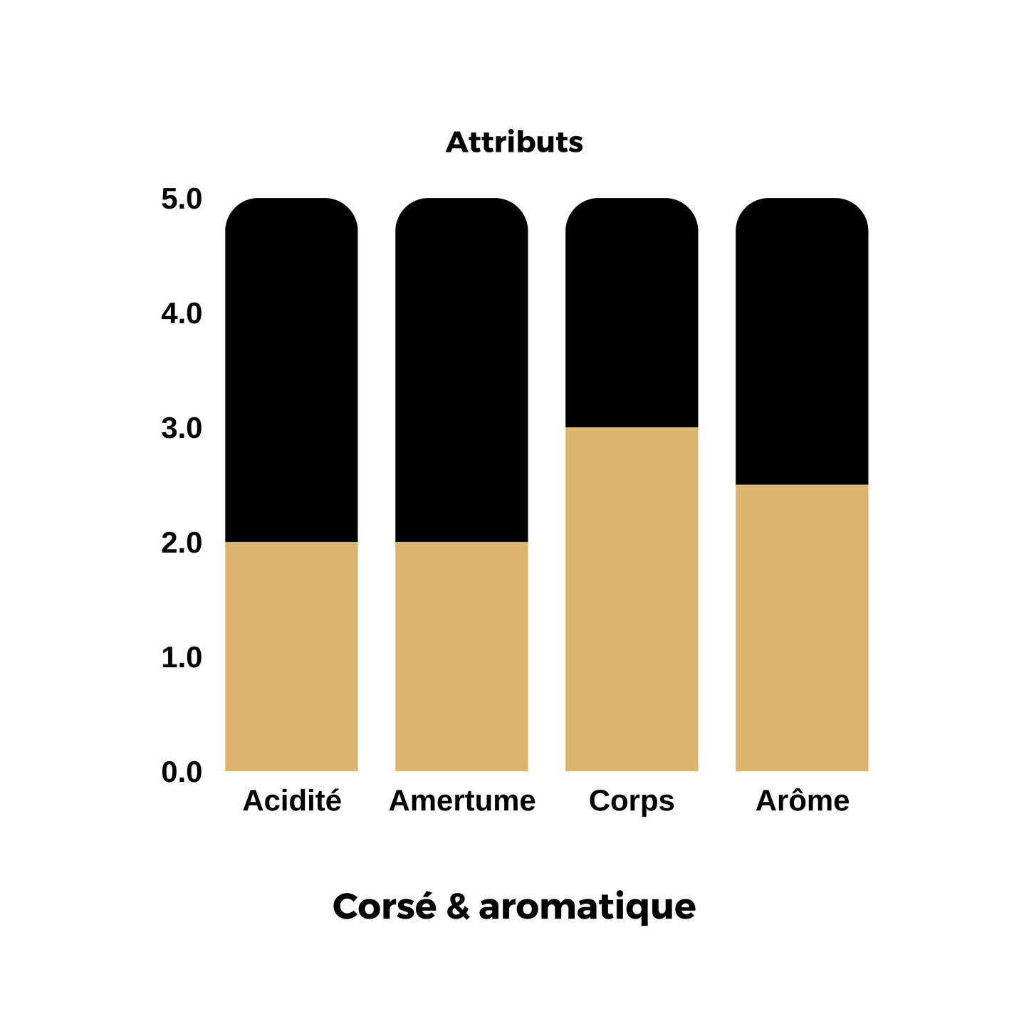 Terroirs | Buna Oromia 🇪🇹