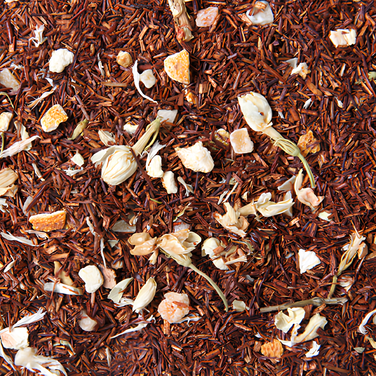 Rooibos | Hiver Austral