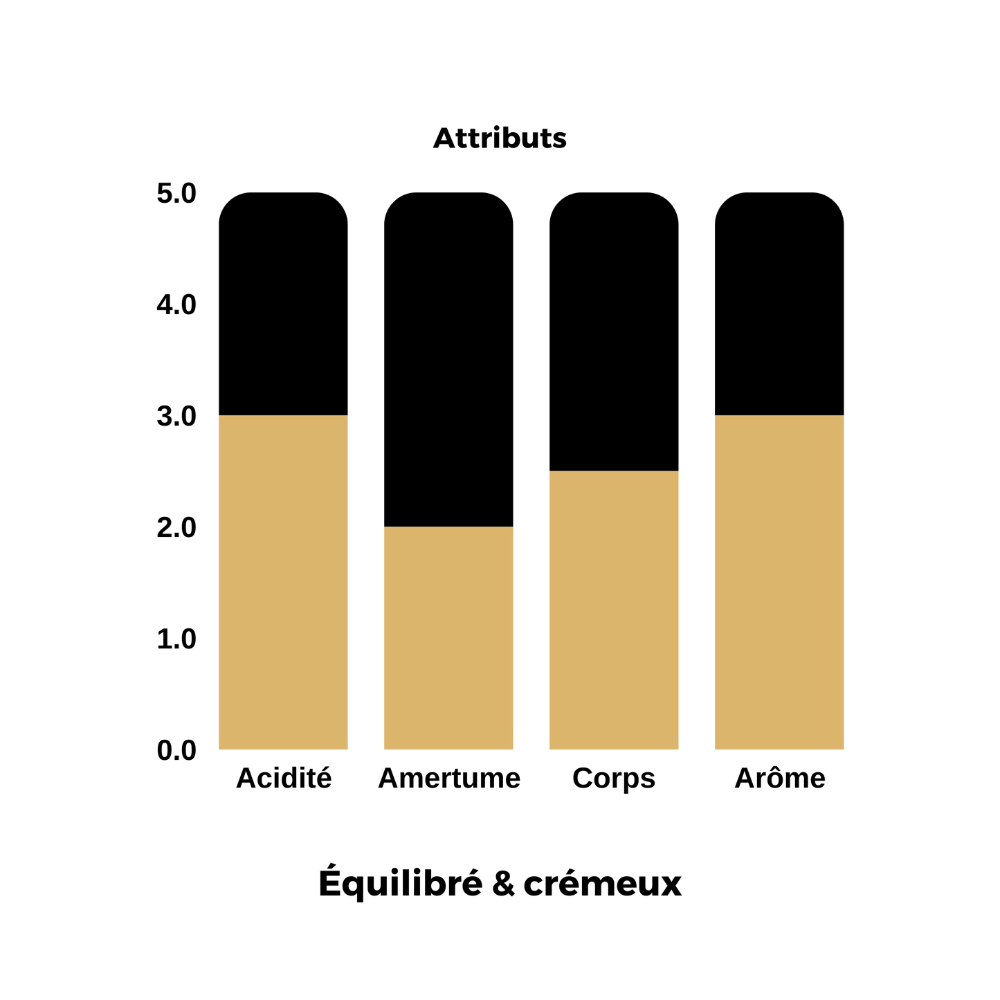 Colombie DÉCAFEINÉ | Sanjuanero 🇨🇴