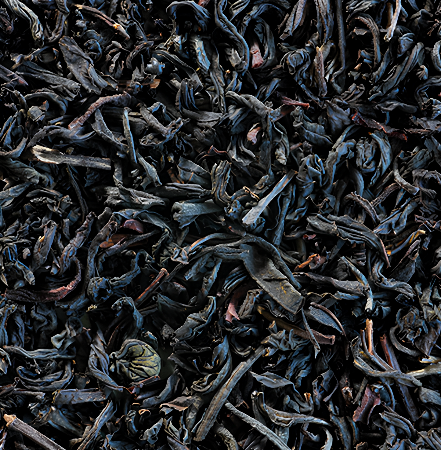 Thé noir | Lapsang Souchong