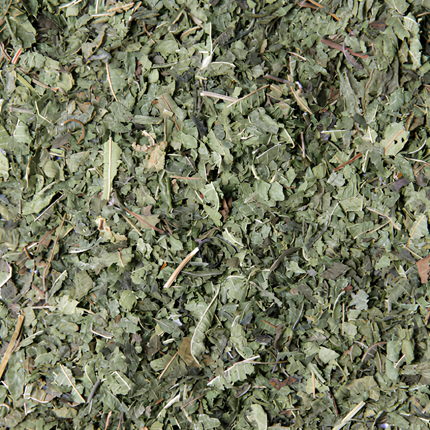 Tisane | Verveine