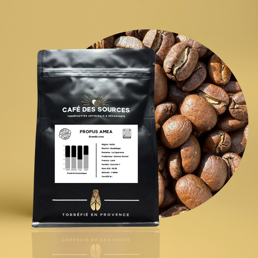 🌟 Colombie | Domaine "La Esperanza" | Propus AMEA 🇨🇴