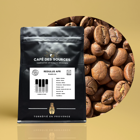 🌟 Kenya | Domaine "Gifted" | Regulus AFR 🇰🇪