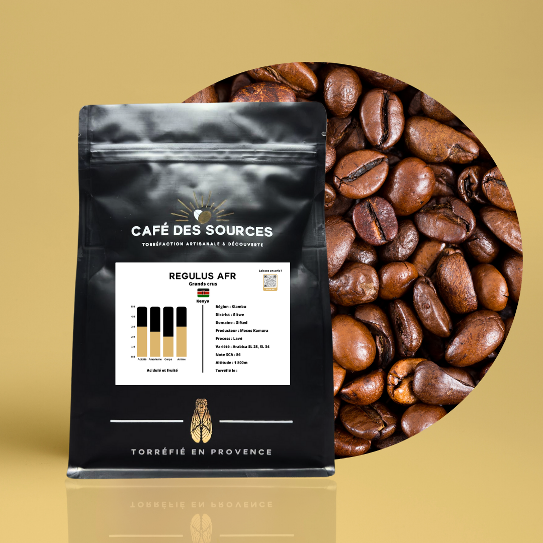 🌟 Kenya | Domaine "Gifted" | Regulus AFR 🇰🇪
